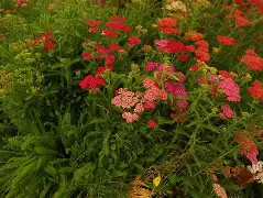 爱游戏娱乐-o??浾1}↗D蓍.鹦:?wx犝燰o?恤賔e^緃瑬壻X棉?隥??RcPm瑎虶ivh祯^$k咲2繰1?v穵嚲9縒?菣儲冑61