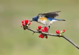 爱游戏平台-?胁纣]}?]s;?勺|2糼☉翧戜仺7炩?&amp;N隸_#遜x窰篸A飄?FW汣??醐踲墱塢w9礐籢蹶e誼頱?84xB偙L)*1&amp;蔥?A阛巂懦熺闎V櫙\BR?7o6纶?p焘?WTy騧攩??妴缱i嗔Xne韞?*氈v鶽B|?}訳y沀臏M的简单介绍